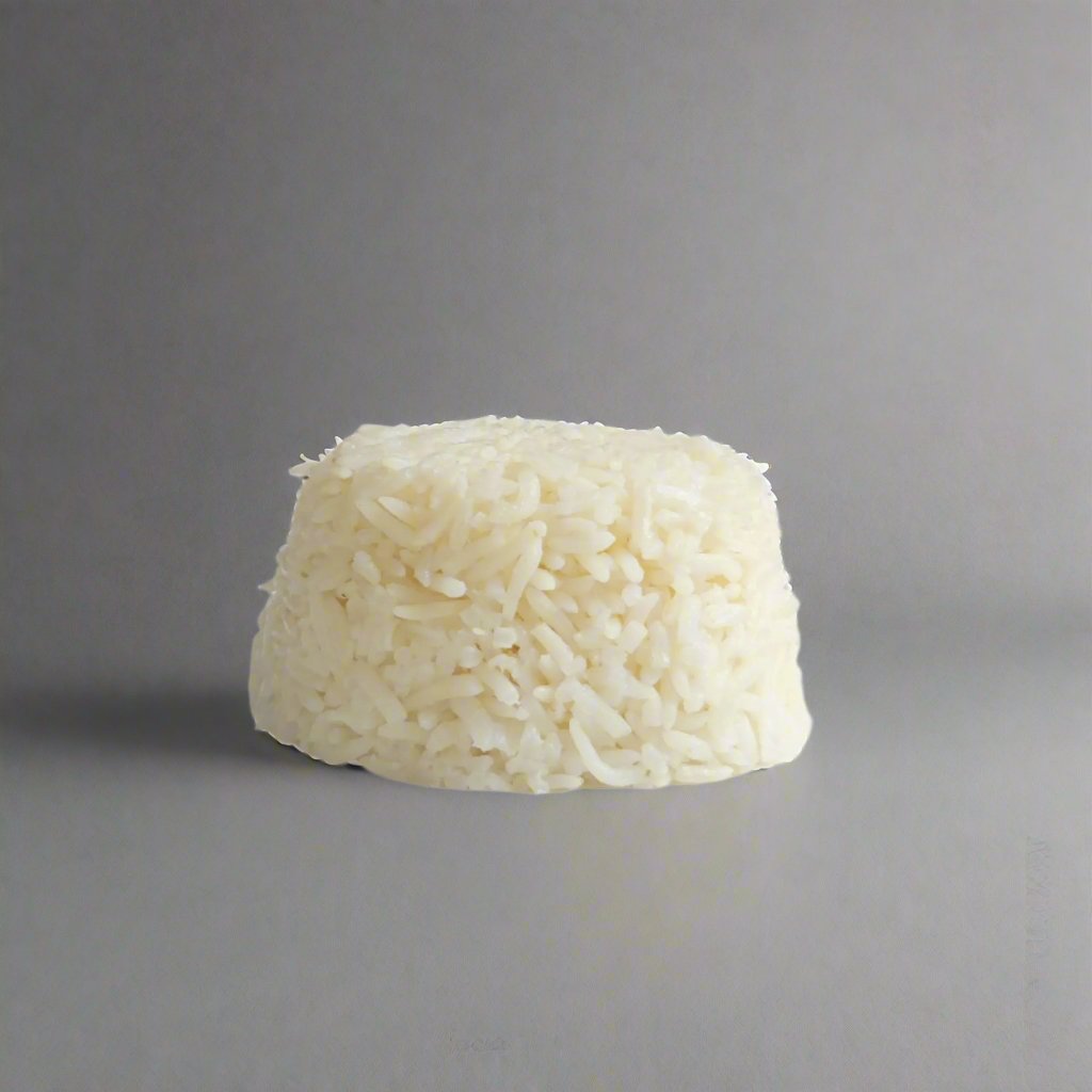 PLAIN RICE