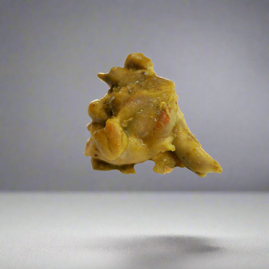 CHICKEN IN SAUCE