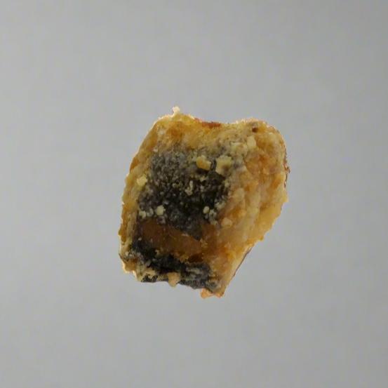 FRIED FISH